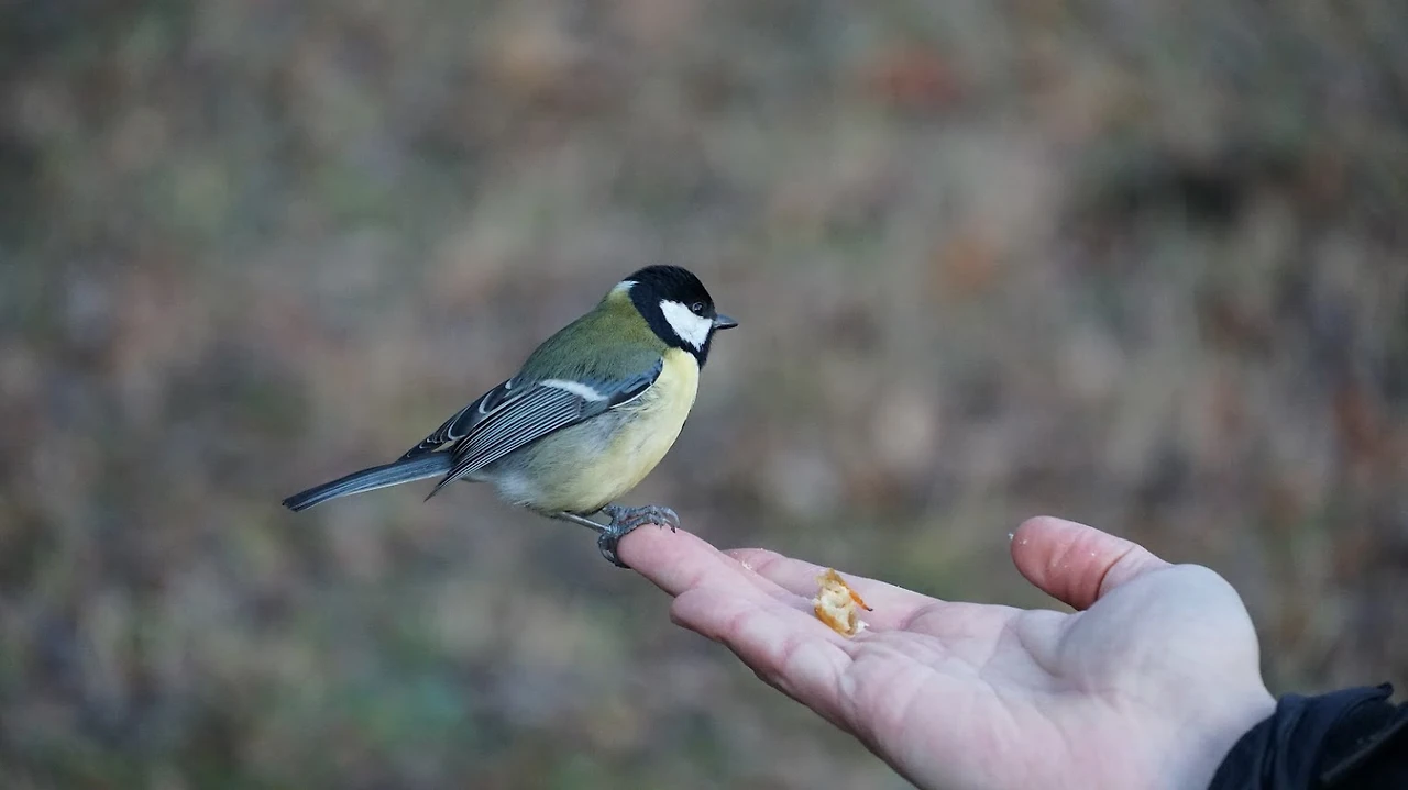 axhNTGicfyYQC_IDfLoc_L-jx2BHjdpwQ8TNlu7P0DyXF-JFAG-UN4ra-Gv7rKIq0ZaFgcD972_0mr9iL3emO90Z1yjZsuNo0pKMDYUaCmulms95sKeDsJmhx7VJx6UJqqMHWO7HhqZtxwRppdaa9ojLq2pl2rJ37t3PMaAYQyTzV1f6v3BoA40XZGGDatJDufkWNk_jr8w1ZiS5FkDkWLBALeeZG7c4WXEt5MeQ-sRfitoRd-jYN3wpLR4m9SgKGWUTEkKzAbMEBw8suvyCZ2byzDIofhaqhazr_A-y4REhouCzn2rjNe6b6AXOuEvJu80GIUidfgL3eoEsM8NP7tid3-lSEUJ5m22wNCLRZF-HHNzJJ2DDOimwFKUPPfIUzu7PCVOeBjF3u8NVG6rya0VM7-tALMzwSNcPajd0X9LRTQvqEE0qa4W4HCmw_d5PrC3FGlfWXJtU_9EHq44rKcbRZGza7pwa1goila0bQGn6Nv6bZpemTv7loPWTZAjoj5Inst4HrX2AqzJ1f_HG2wRY4mDKjGdCEecUyKb8APU915glB5SZwLtPT0MyegcBimhAjC3pLZJxHhBJ9Ksb4I-nT__l0kKVl6ftGH-TZf0TTp_nMVhrJHhetP61866FFIn4y7WggZErtkCaEn1a0K_z4DvO2sXQWbhx1UNr8VdeNFYH0xMY6d0=w1531-h861-no?authuser=0