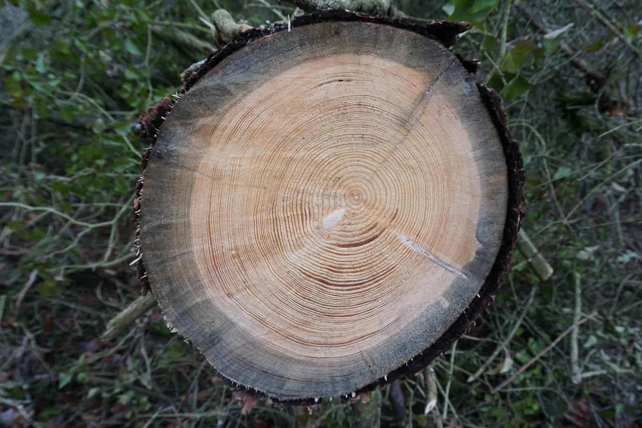 0zNuG4-V3jVsfAmyzZjWQ4mIik6wZiRuAtbJpx2Ahk_E-QHBm4Wk6VXXWvhnvoL-7QuD3TrspL-T0GK5OyzHubMXFZuJsDF8EsozNwLeIJLbbYL_hhbmgjidQ11QadQ24C3oZ2PWypeGxK76MQJfzCu-renYnH2kjLXYhd7AnWPrtfCNu0tBPZToJWna4ukt4NLDHhoAPjbjYl32G0-6i2Szf9Pc11EYiUMmgwBgLy3F-RFKeZ4qgVWm-MzhQzfI1W6hfBBB2SiQooXhs0VGRaPCD_Lvu3SoUMyDA4GtP4c74SDlmLzTASi-Ogwmycja8u2nwnDkFfz700zcLyfTmORo0TqrqsgMAshp6uVqY4UTgs6NvWKGbwYc7XGOPhTzmoivve4J1FUEQFRtqE7fjUwX0ftOimZYK5O7n6Li9fS5ZZ0KbWQmnQQKhmU4Ouybo6L2I5Ye5tYR2hf6nhhu33CtBiCjym2j8B2Lchi4e8-DSoNQCV8n_aSwOK2fQEaDARXiokjWn3CXKMZmRD3nFgF66lMC7n8IPbmrrfLdXm-6rAIzs3rncHCrmT0KpdUYAfWsXxUy4X7BSiGmesdZ4FUectIkkCO-LRh2c6UpLE7_TQ1-PosxFGb6eg9CrGEHbKOZASH_6aF1G34daxdkIYTTkg=w1326-h884-no