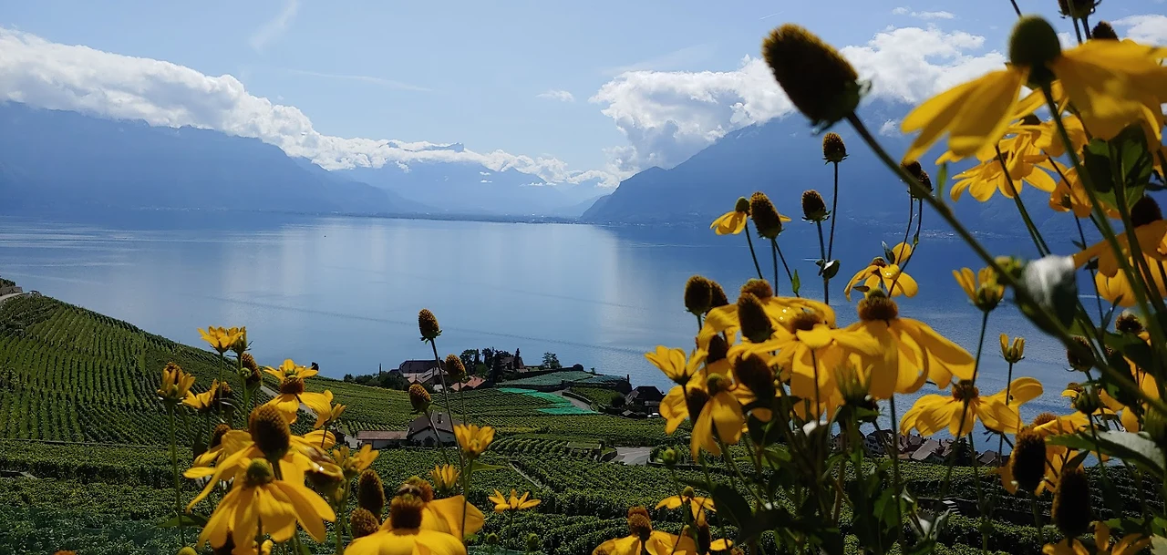 fy-8ZvjhkrbUH061YvIp5BcTldxdFqfWmU5nN-xcmGaqqalSMQoQ-fXxcCu6uJCSWg6cY2mgcyoQkeZ_Oyj6JVEo3abRRLhlX36pdhjzhtaMhFKKWtPPtv-8HuryZjn1u7mO1eibQ_SgJIYJRQA2-Fa4S0Sk-dwif8fcawAaF096kAFYdJSshl2SKoVr9CmGGJOkUJVpIP4tzjP2MiyclJ_Zl9Fs4Vbkzs-woIaP9L9YPGnSRqLZFGamlVBHzcaSmdz2b7QbbYiZymtiP8XOxg5rePJHe_E9AYmQoQNCPd6s-LRJbHPWBXcrhcEMNfpztxE1P5yyGZyzxx6sinBC3kr8_VVPXe-tOdo3ugc82WwB1i4nIWydjaAZDVN2RCUP6i6fK5TSyTqXbLHLQ2tCWIfp9IERqobNk6grmDDd8FprwG_dvDxL7uieficlYi5gczTpCYEvthYJdoEfrjyTOqiMAOOWY_l-PzMpT6knPsYzCm9F3rWwSyId0DGfDEMMz8Wi-Kukh-OEm6zkgCGnCAAVBIg3Nvq4Au34gFlY9AtAoT5MZQ7EzyFQEpTeZz8McaJ9lFeLrMz7rTvUkAtn5iyvNjJDRhx3ZKaJUbXjh2GjxYJF6P3UgsiOinwGzoH7-4A5qLTEQ86V7Oeg5LwmXHT_EnFC9iRTLfnOkpwx8HPXafBbVWssKSo=w1727-h823-no?authuser=0