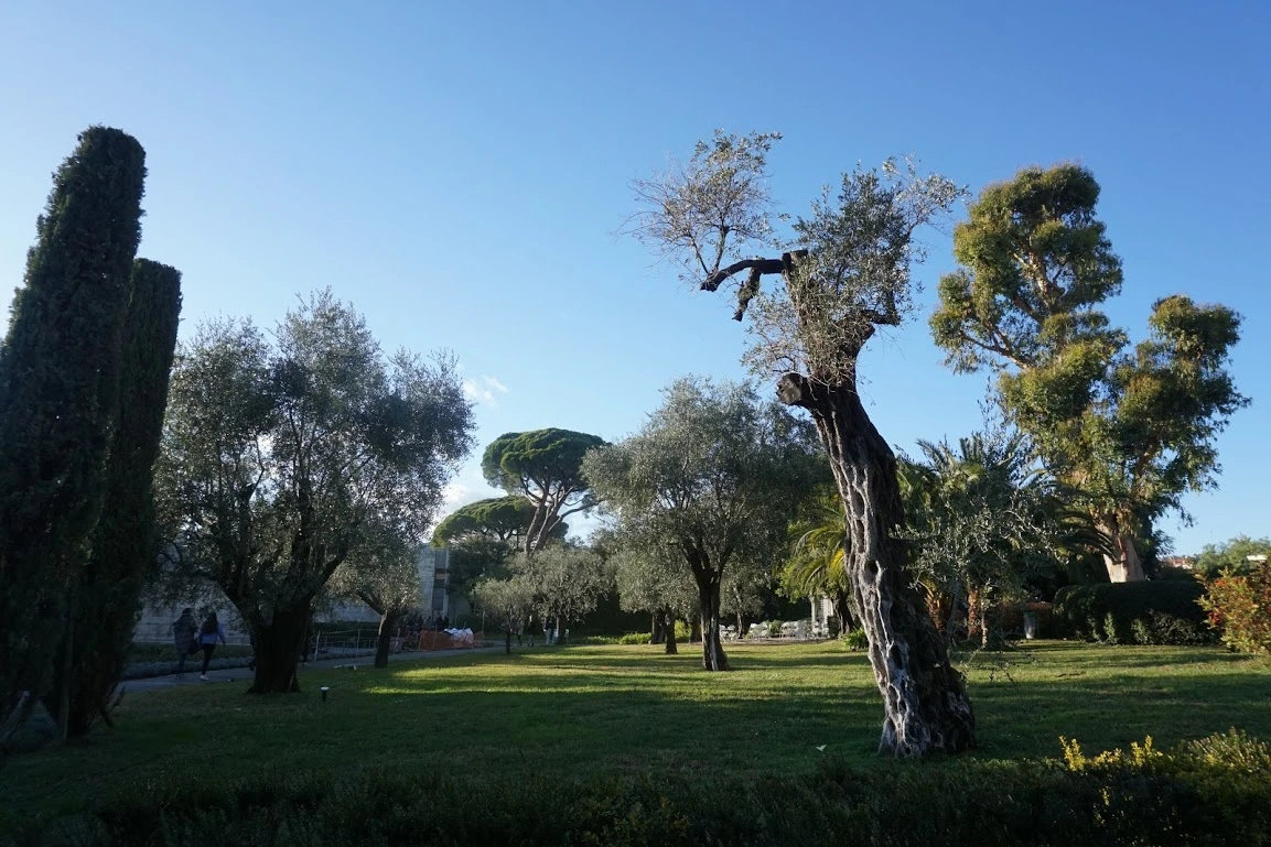 DWWeuBdUTQr8HOGafljlmPGtbDHwwWvfRo-8FAc5016Go8I6zda0pgAdXpi8XViemxAWyZOsqOnwsDswy7ZaAdvVPoIRQh91m_NL3AO1tGiloyO_r5h7cdonzN-hGxf1CQy449o