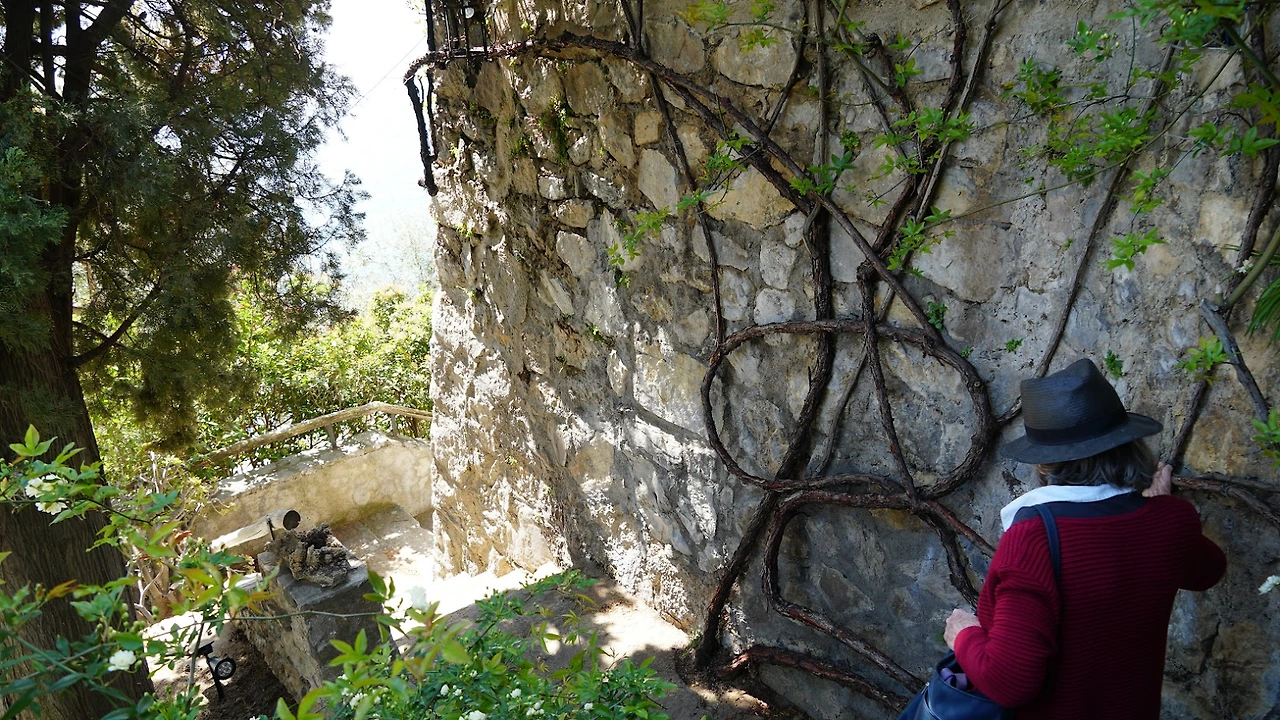 6gX0jco5qsPQKhRrRE3_d2tB4Jo0isktkRtdtXzUKfzH50-T63TBnSwHz0Fqzrl5sAZOczSKlCE3JZXNMh5rwTIZ_z34wzm8Ac4ks5tFLvB_hhVeCZytG83gMz_TySr6crfaBL4