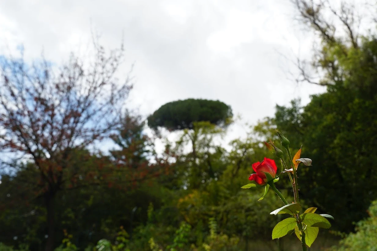 ABLVV862h3KO_fQ7WUy51_xIn9B2n-ilhyzTBaFwz0KX3yUl1NHOA4HSq0yNK6giMGcVYIv2hJkOequpL_g_uCHMSUctOhjQowbtJGhARPDIyP07PKx37XxGAO-NLBfD7hGRnN87zto0v6cK6CHOwDfeteAE0_NDNQ65ceEGghTsRbOUND9_rkJ3l_KurGW54sAbsVvBN1dt_uJozt6dI4cqfH9byxe3ZBBl9Kho6YkOHBGVOkwEYQIEFqqhDGTeKiPELEioxUh7k4Q35RRLDR3VWKi86Wjqsa53F3rOd65p6Z9gCfeJk7aZhFEWUyXuNVxlSlx3njhS-kbKJBV4_eBlT5u-Q6BLZ9nI1HHI8TANNM1aTl9hKFukQ3xEWeRELmqdhEsAvwgBTYmUbPMljG1qCU380dtfTA792ITHdanlIxGYenEKuGshDp8GEdIW_NMua2h1I7BvpPYmRTfzOnAYOUiEcX_1DRGYcdhTMnSD9KWWit9TKAsjb_KYFPCvMSp8g_Ip5DFZyTYnXC8TnGO57B22GFOWB3G6jSWn1TmkfUA6XtT_mohStEY-tatWBjGf2Ds6Y6Xzcr7atjZO4EkwI2kLULVk6CKtZz5BCvix-MCKsNfxAmBrBhvTW13EPBqB6izmW1bs7hNHVHRP9XdWkgYWkGMbm_GMqG6mlddzM7nk9zsDAZVYDVuPAFf7dTMdQectmAclNvQqZGi5Y75v1jR0FSANtqpwoshCTxvw69785lqCCU2oITszEYA31g6G6FoI5H0Ce1jN89JdJvILtvLVtUwRCGoH7MOoMeBTs0jv6N4kzbTjrxE7y3jI9QgujmqCrYhQLl7zFkcmQHN5OiPQs5U6wFcNBwQ_jt7XGLq4b8E_t0DZc2keK13G0gqJ424tXwQDW94eS7jHnRMM=w1233-h822-s-no-gm?authuser=0