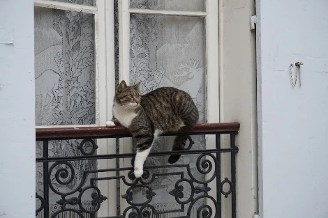 aDrpt0n6RXqIrltnLhAGYgei8d2DUTHyqhnPoqVGSz4MsOh1lbwLX43PHdycRZ6GkIvN_JZdrkazE-SzNyJjTU1IfIU_bLt08oUQeZom3Ts8taQZ7C5v64Vmjv6eRENoj5Js6qw