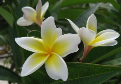 image.png?type=w1600