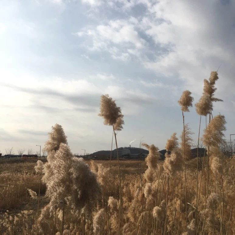 IMG_2129.jpg?type=w773