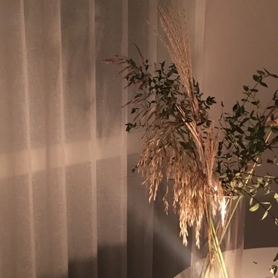 image_9700876891539838750015.jpg?type=w773