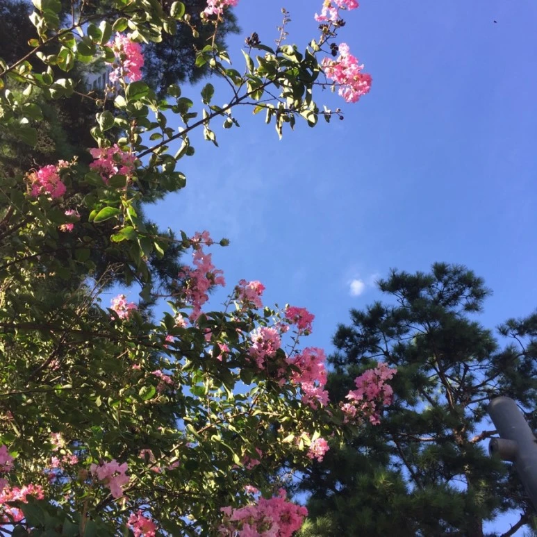 IMG_5253.jpg?type=w773