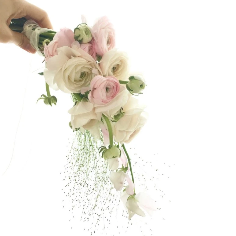 KakaoTalk_20180301_232834546.jpg?type=w773