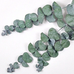 SE-e9fbd8a4-b89c-4e41-9dee-d43c0c35bd2c.jpg?type=w773