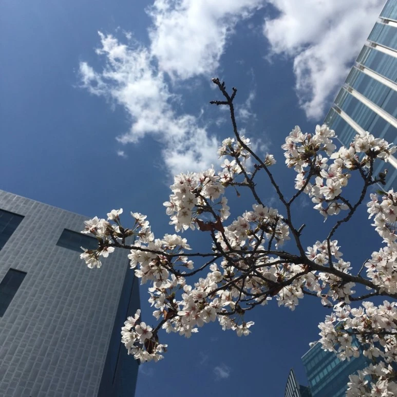 IMG_1686.jpg?type=w773