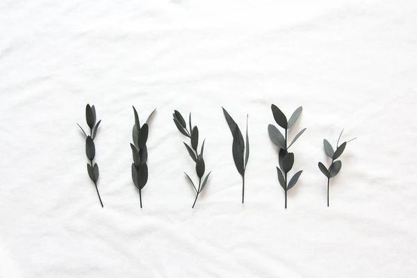 SE-54a5da39-0e12-4bf7-ba26-178e8feb126f.png?type=w773