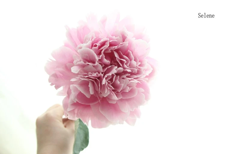 image_6850834371525335252983.jpg?type=w773