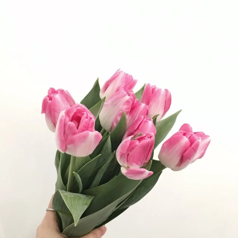 KakaoTalk_20180301_232834685.jpg?type=w773