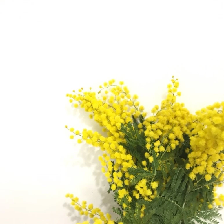 KakaoTalk_20180201_105651515.jpg?type=w773