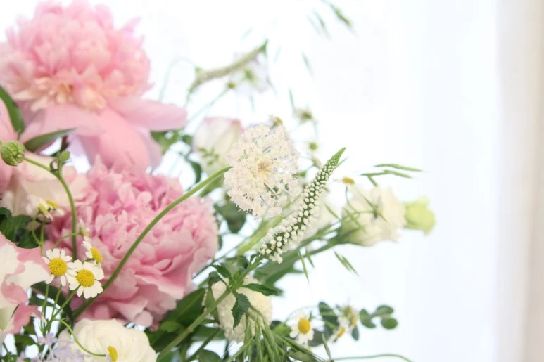 IMG_0348.JPG?type=w773