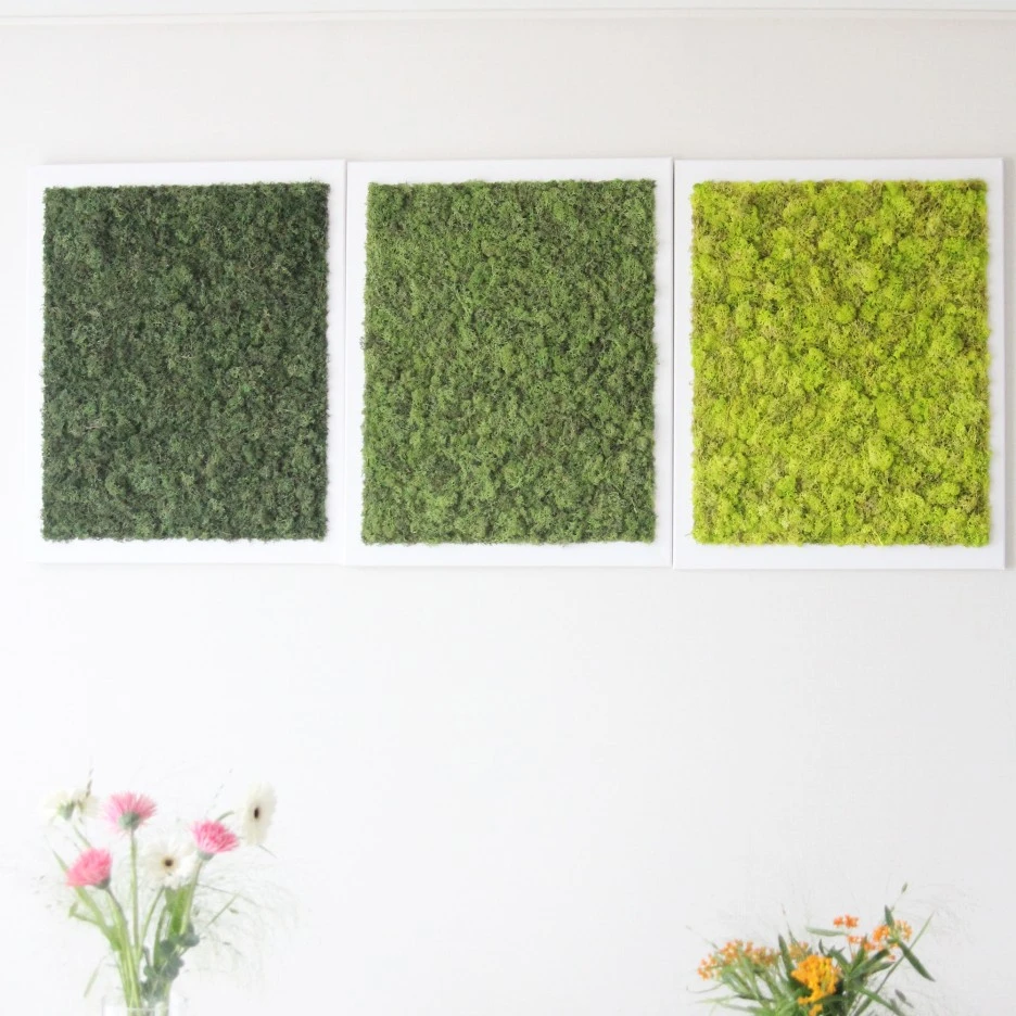 IMG_5657.jpg?type=w1