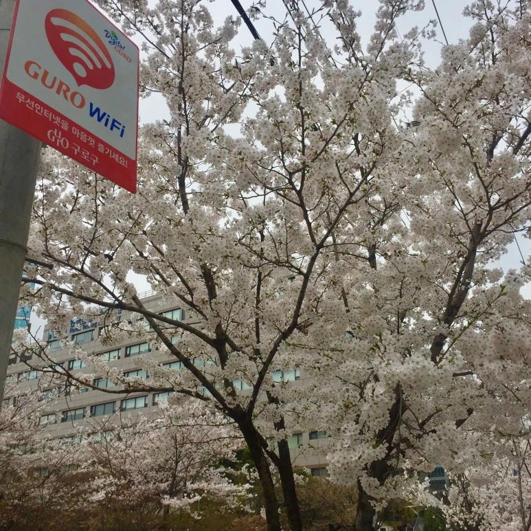 KakaoTalk_20180405_174932579.jpg?type=w773