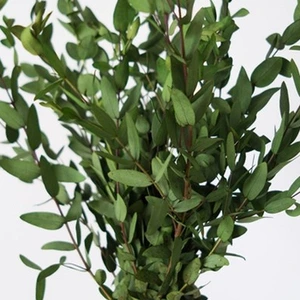 SE-8fc6d8a1-39a6-49f9-879e-91dc5957cbfc.jpg?type=w773