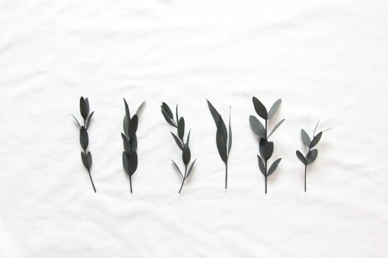 IMG_0707.JPG?type=w773