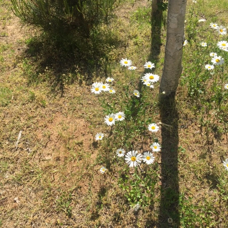 IMG_4348.jpg?type=w773