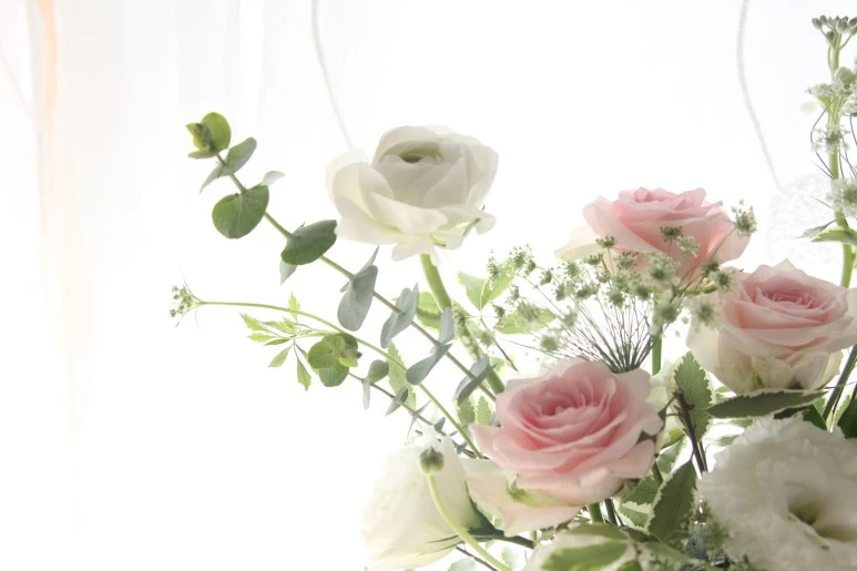 IMG_9958.JPG?type=w773