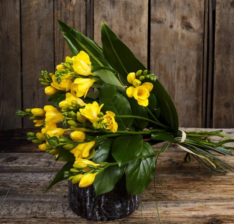 %ED%94%84%EB%A6%AC%EC%A7%80%EC%95%84.jpg?type=w773