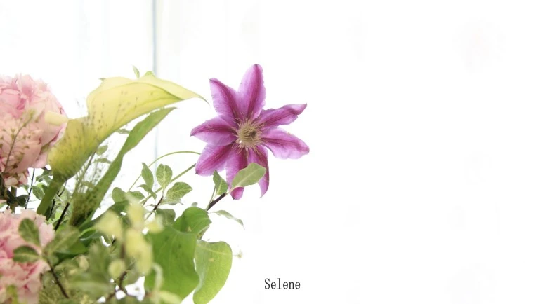 image_5888669241525334639578.jpg?type=w773