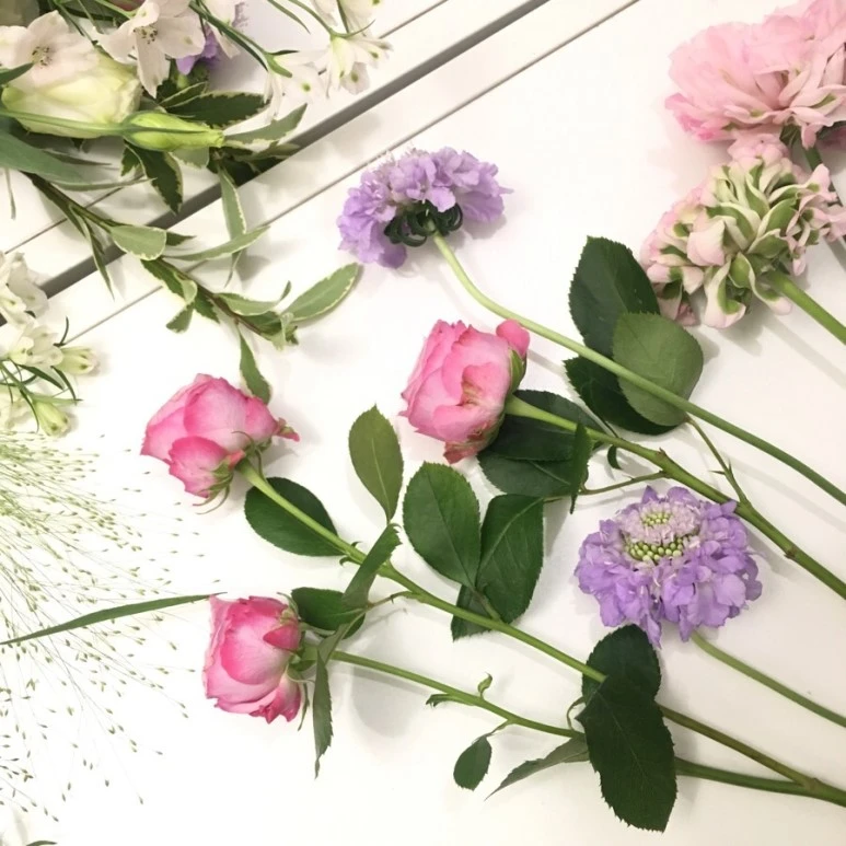 IMG_1920.jpg?type=w773