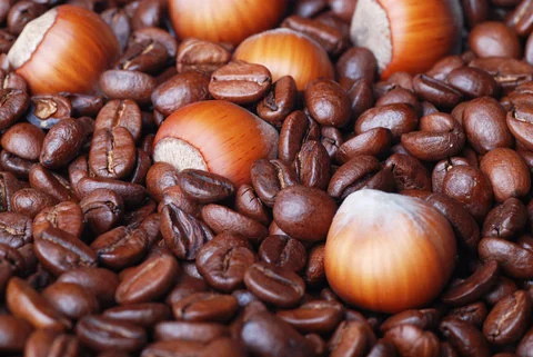 hazelnut_500.jpg?type=w1