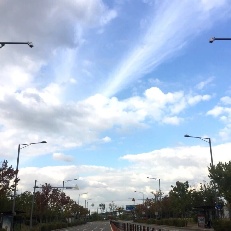 output_4221025432.jpg?type=w773