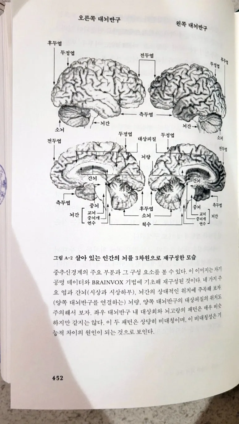 SE-15906cc9-8247-11ef-935c-a9f1a9a1673b.jpg?type=w773