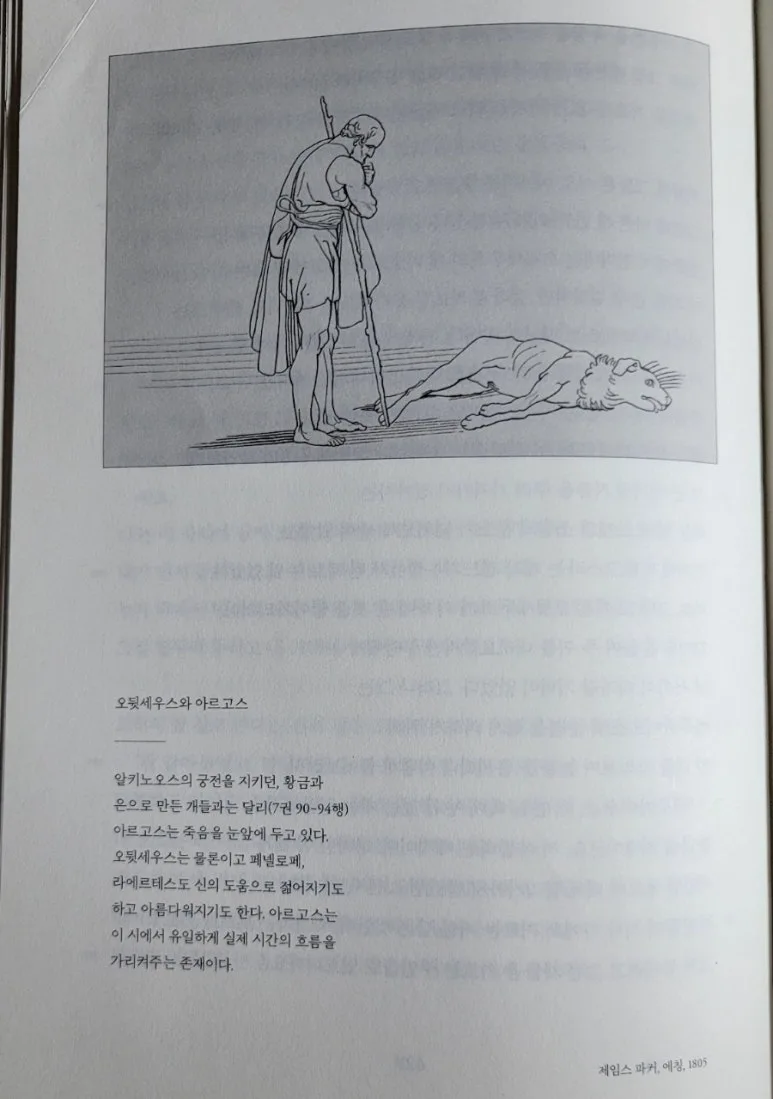 900%EF%BC%BF1731678880093.jpg?type=w773