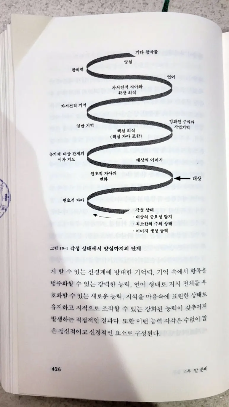 SE-6b4e7661-5a53-4fd6-b720-93f2b4ffe99f.jpg?type=w773