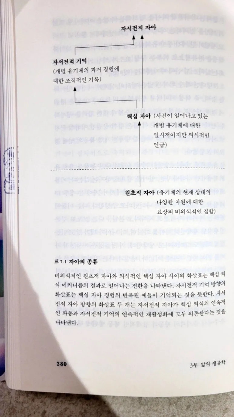 SE-951028af-3a9e-46e1-9501-dad752e7fad6.jpg?type=w773