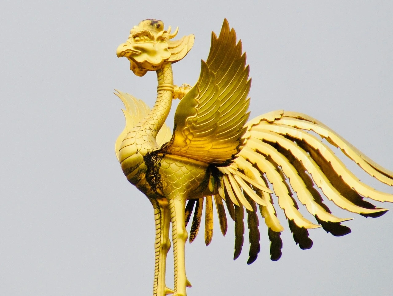 금각사 4.jpeg