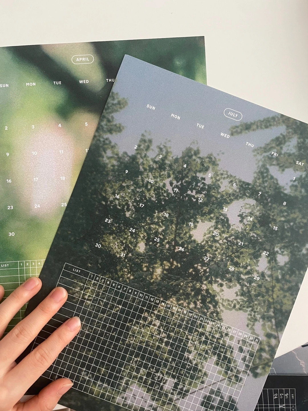 KakaoTalk_Photo_2023-07-31-15-40-25 002.jpeg