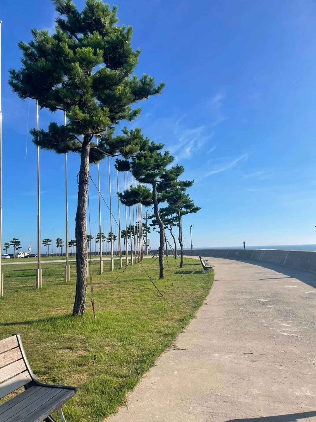 KakaoTalk_Photo_2023-08-07-16-55-04 004.jpeg