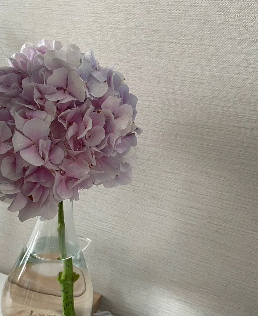 KakaoTalk_Photo_2023-08-02-16-22-39 001.jpeg