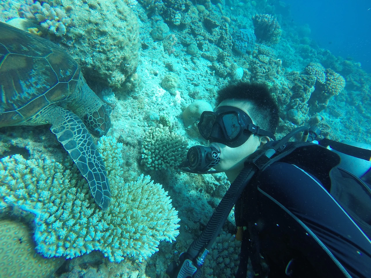 윤우 스쿠버다이빙2.jpeg