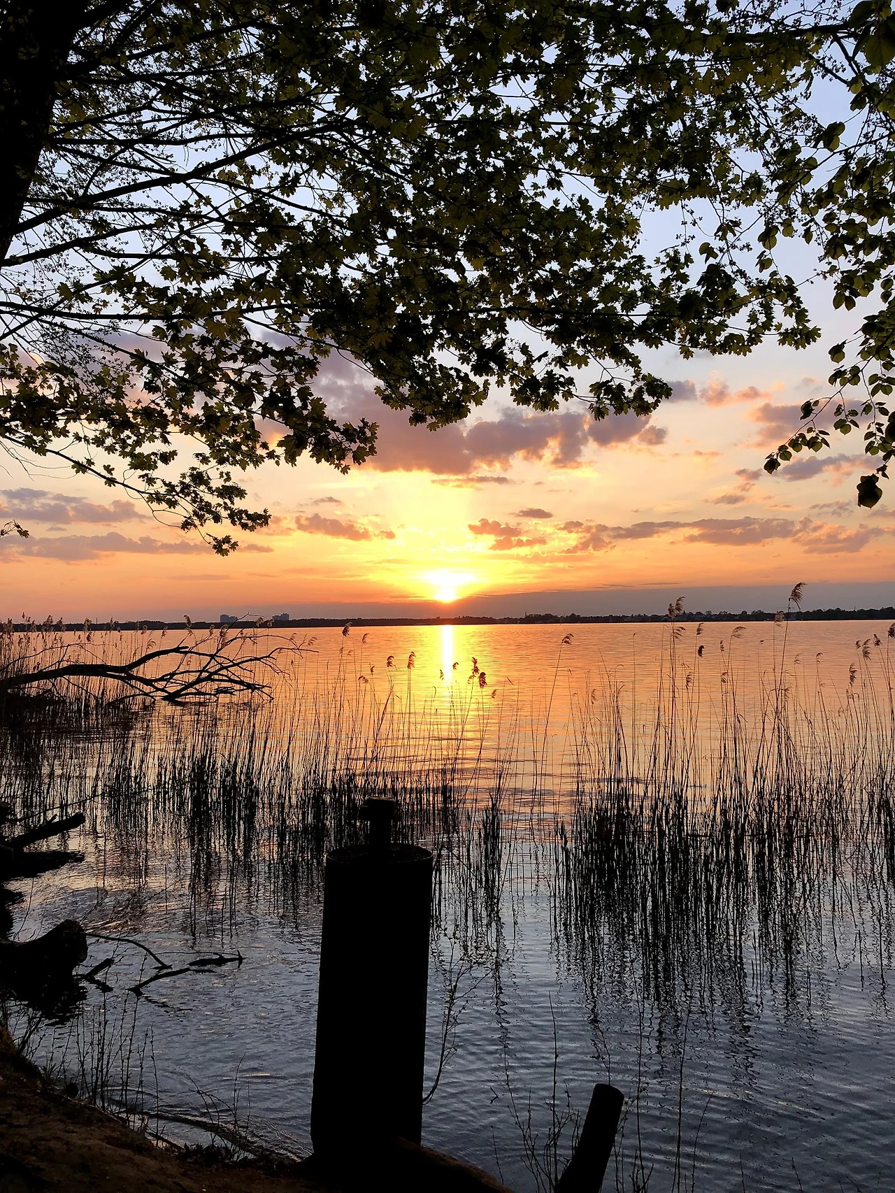 E6fLvgsZ8kAC8dX6QMIQsBdW9_wi1dAzBvQlr9QLsH6x9aakKfBSZTAVRDNtl-Gn66vV4_yz2cDnOOgMwDy2w3xj_Cpa7eu2WPpaajJ7HI39vFpOpNT5pgNSJ48C2PABPd0GDl54Pukq4mlndaTmJFDrzGO6YzpA-rvOBg83bmYlS948Q-meAG0kF3J7DPmJnZwWs8vRonhiUcXsv50DAqRw6sZBGhMgHIndMLvZ-MMJaZ8dIunMHBzz7H09MkqNEfgvqUPIsgYShsWwrAiNRe5Espwgau1MmdZpexjcvfMy3Jvovz9FEUgdtu99ZPVQLWupcWS3jR8O7T-puLkVnvFOoRs3no4MsOAnhKaowpVsHm4kKCtc5iQFUZ9I6H4GKmvPzoflMiFg1mx7GihKbIaN4lYLuO5ctP0K83MPCpbhzYY5uKc2G98fV1KqaKOI-Zv-4VXxP4tmoGcB7t6Pkw9u2Vdo8ClVfS2jzaS6DjDjwovoFle0I4xvrkqxnAfbL0XpI_iSsZP-KDi1y_9hJrD8Gsr0x0dxQHUqFJvAyP75qwfO6oxpgEUsNf52JH0vqmztldMIoI0R7XaNmLy47AzqH-p5QxZN9ra9aNqLvnSY9asOXI0ioUL0JafrKt16Gau3vwyApOFtj4n1Sv7dBdwUp343rwuiNPlcqjMG1QS2Lu9KUtLEU9q2=w1422-h1896-no?authuser=0