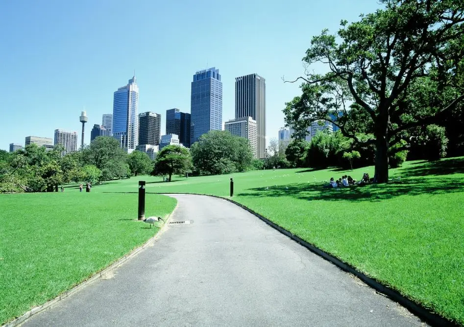 2018-06-07 13;44;39.JPG