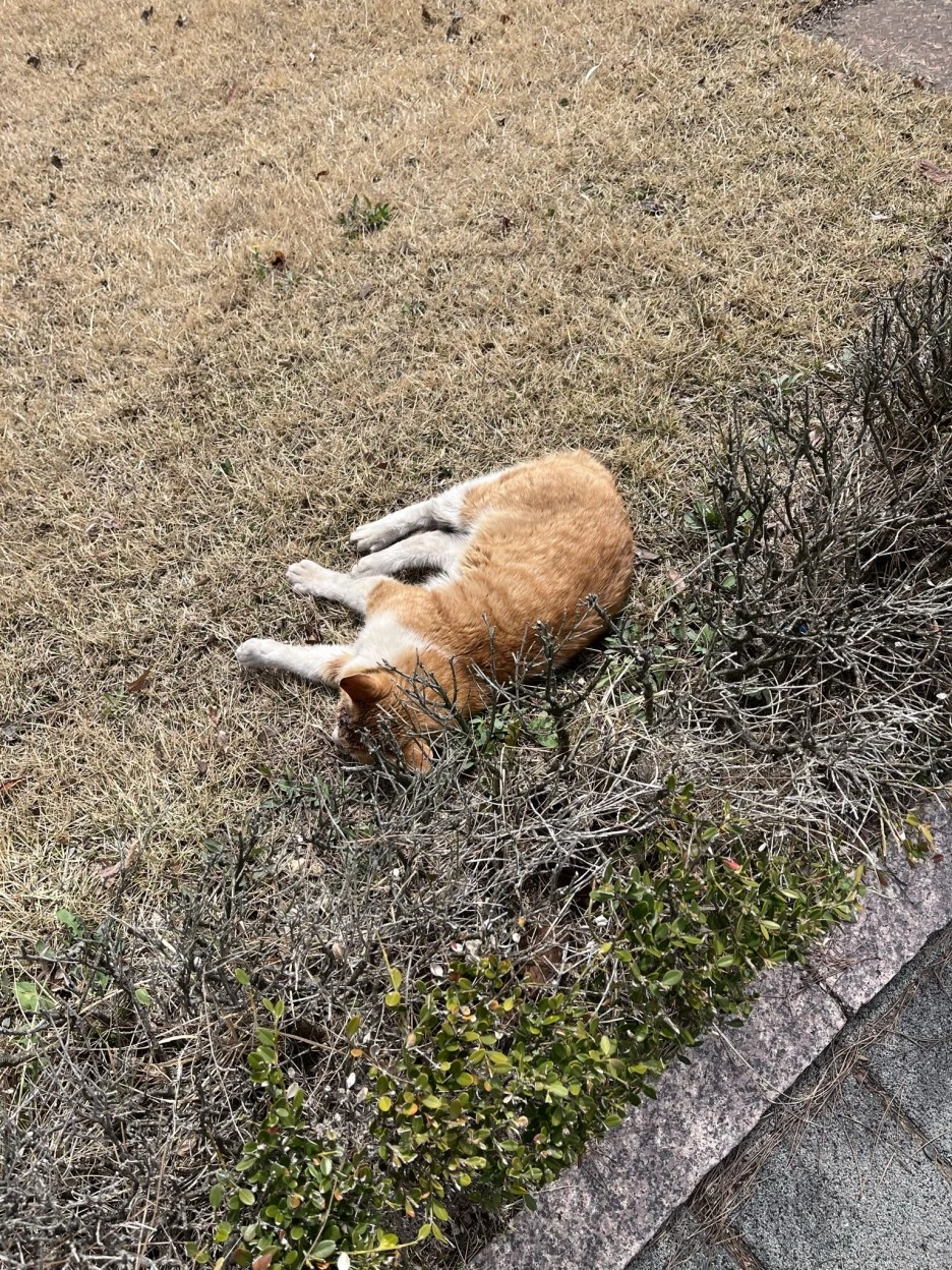 IMG_3408.JPEG?type=w1