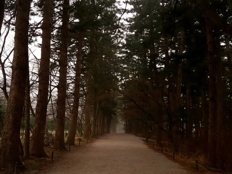 20180318_171129.jpg?type=w773