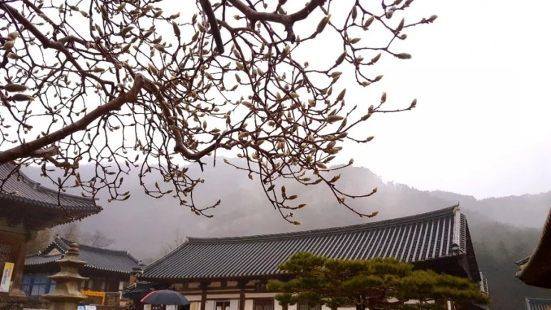 20180318_164400.jpg?type=w773