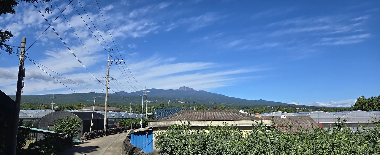 jeju_한란산.jpeg