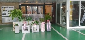 20190817_163233.jpg?type=w275