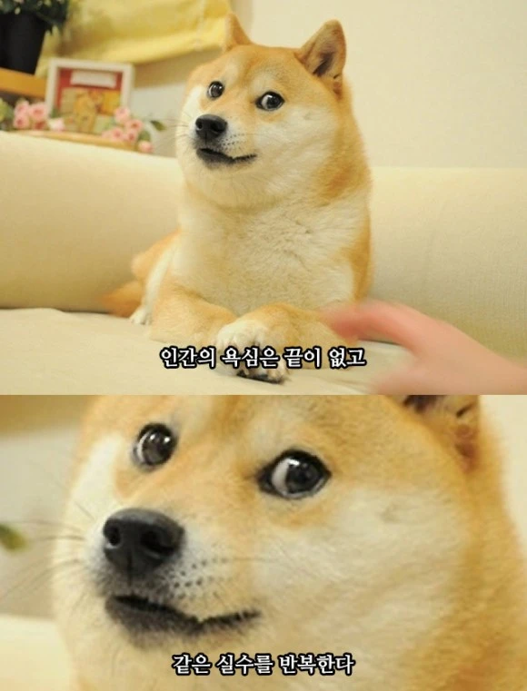 11910%EF%BC%BF9425%EF%BC%BF2053.jpg?type=w580