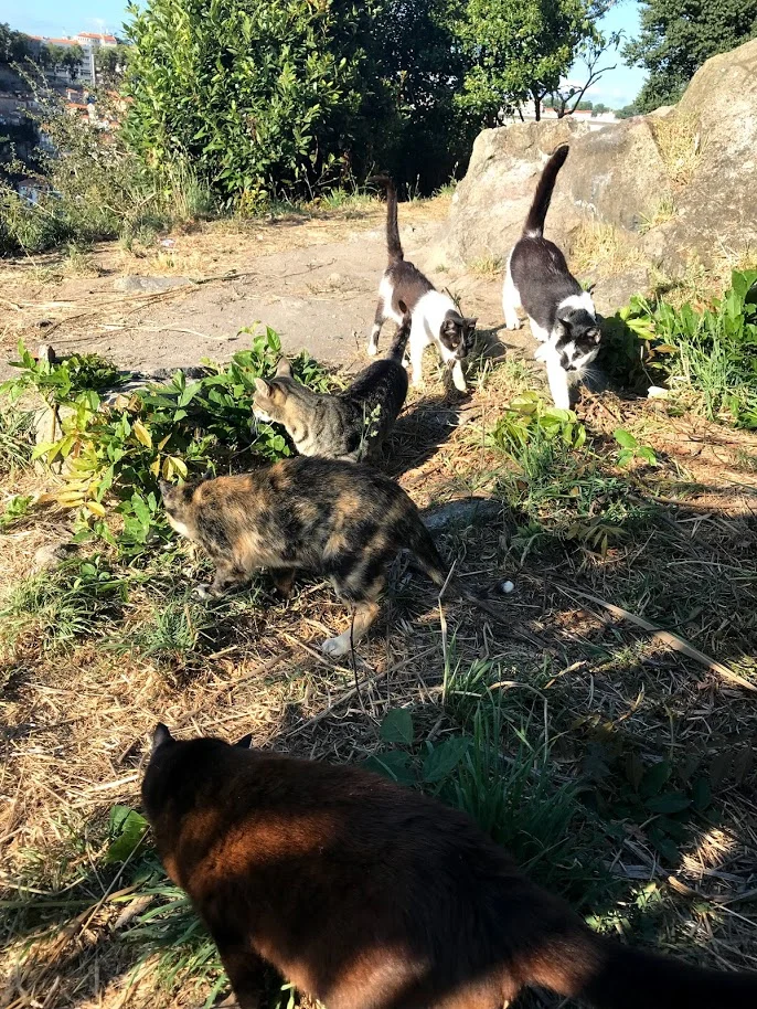 aOcOSXeQ9DwXvxu1mPlqI6Ys6_1FouSozH_wEeNCFTZXqpqf6Mp4u6Dan1Rw1su23RORG9LgaCU5MOTEO8rWEfR0ujnSDSCZCF8rpsPgfpt_IZnla-5UzjG9n67OOdG5LH0z1-TRk7ZByTgF-fSHixIkJiJB2QNgudOnKt8T5brP9Wh7YHojJPcLZSyzxFYUHY2kAjXD_FVzdp1M3UyRWUePiTH07x28csASxzGhuSsJZ8vusIdY8whTdgY4uo1L9J5h1UGXbD6LPbGoCfKVDYVPKkPp-98ekmn3sP18XpfNJtViSRAWYYoIAkYA10N7VsKEi8nU-mQUPXLUgds4d1hgQ90jQMnddH8jxRIyLgTtwf7pSfFdblUMipkdpEfcCXWphORlg4d4mszxDL195n5MNWTTq7bsQQdgeUtMDsXduSJFIo98MEZmPfRfFis9Fx0mESg41DdF94qpgurclSbSNxI4VzNiUmF8wejXqFwpzI3LHZ_aJraVKClO5GFcE0E4ISTDeByT_PnlMC_U1WQUWNA-WSnik93PXRDdEZIcwIK65DPW96g1jKxnayV3_63S9Wr9AjmsL1DNALoEau1qtaiNVRTk6lc_JX4zmgV83kuzqKMRpt5b8NMbzFWJcqWIKPXHfd9NKhAw4k6QV6QQUfkucLe_SKT6EF268asekuMPRKPBr01y9URQPDYoyWRZalHK876aV2RjzCw_1dXm4A=w687-h914-no?authuser=0