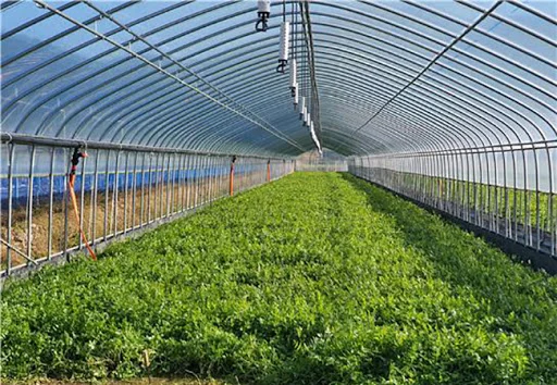 HhP_1ldpKbjZegRX2tAcaSI-Q_FnrkbnGA945t0w0QEitgsO5PgYiX9a0oG7kyVmWWZ_kXu4Py5gPBUhZBH8AxE_uZuWGxByrpCWed3_XLUawhfwxk4BSLlwwm8