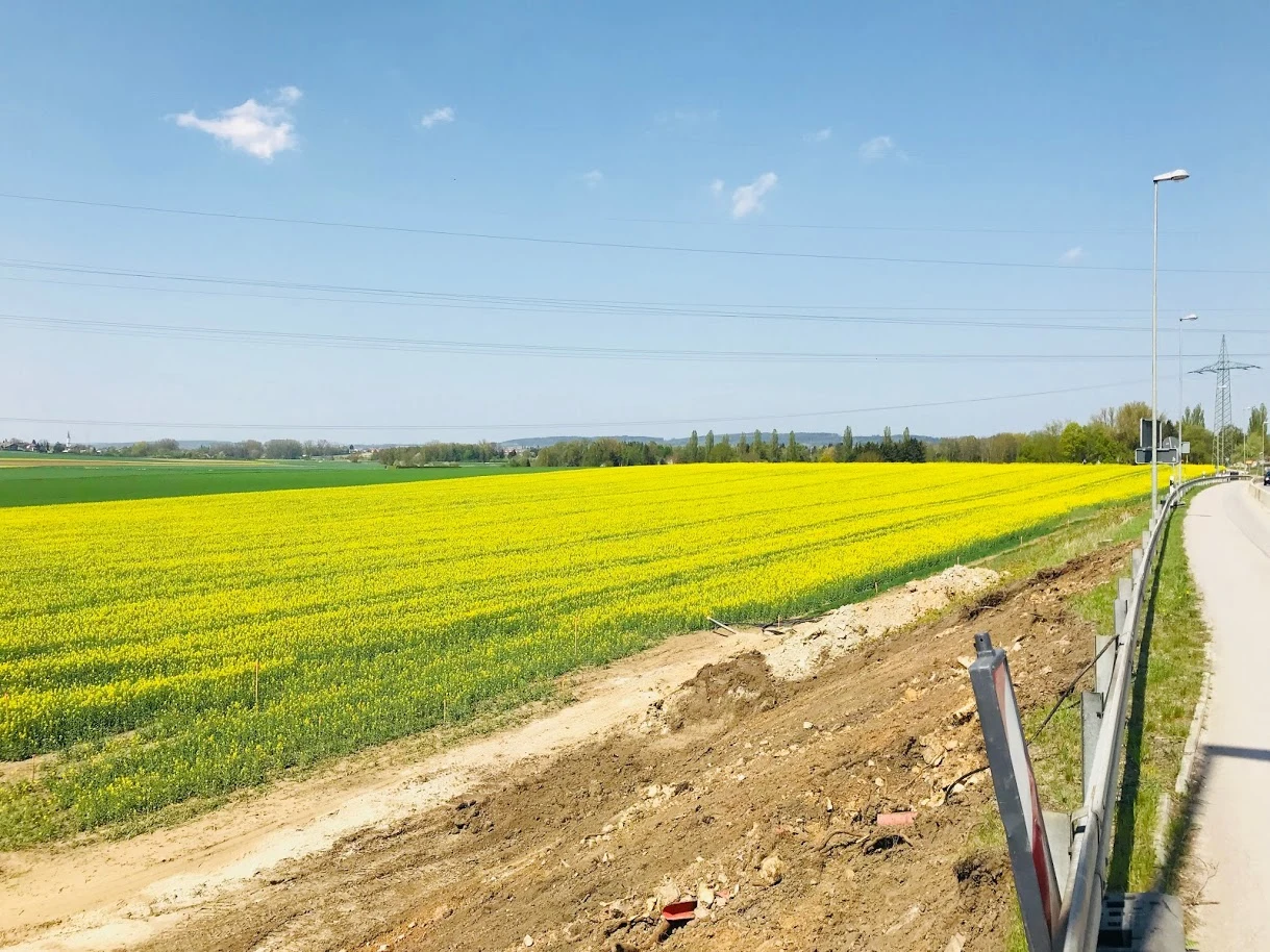 BhTnls0gh3NkjO9d52tqSg___CTG6GwW3Xl3HvkgNPgWwrdoZtXjFbyXXVuT1uH6YBSIWySHtastkpcLy5_ShlyxdfQw3J2sWaDYB8t15L5a__OTO4y0kpbXlOYdB-zLEucVxMw8UuwNSsGo8EW0L3nhz0a6i9mFc6erru1Hgw2sxXgImPMXtYKfusm6JYdyDl3r5aELpQiMVUtxkEZQPfNeL0pP5LUuc9jbCi4q2snn9Z21kvyzNZI-mO_cIZ4YD3yffggjBSwSr3ikCuh0KVBcPPQ3h-LTYAqZx0xoc4dgUUXyPbNaScpbpEl9rIWfizGIvxMsP2UX9qXYVE3ZqvtDrTgqfAjb4Vm6w1VxGnDgeZJ-zMj0zfgIa3TFkZs1U2YL_KSd3gsJ3UF3xzlovIlUmTGQC2qS3NN_gC_VOQkKV8OvD6n8B6QTzw1-sP_2tw43OwcvBun4DeoQ4126FG6sDAWFb7ds1mIaVWqoDlQxdJ4V52R19WIzeF7wFk3pIJZ-UALFcCn762mco9qiL-pfYqJT6xHRc3prMY2k2WCY5z6y3O85kbNTr3_WO0NaN-kvSTtx3eL6sI_7_T-xZA7Z2VuOKxLNplaxGlTB1buoNHLmszCxh3RRyJVI3DUVHzd6QW0s4aFurRm4ELg4ALbpD2d5_Uv6capJJ0jHA3a3WACZk8B2qH_yVbG1LKy-PUNS5gL-E3xXTPI1yGo6xOooAQ=w1219-h914-no?authuser=0